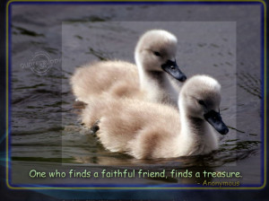best-friend-quotes-and-picture-of-the-little-cute-ducks-wonderful-best ...