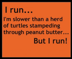 run i m slower than a herd of turtles stampeding through peanut ...