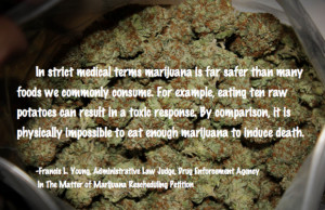 Weed Quote Wednesday: DEA Judge Francis Young’s Pro-Weed Conclusions