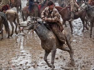 Horseback Riding Is A Sport Quotes Afghanistan's national sport