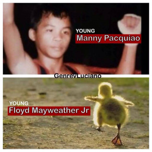 Best of Floyd Mayweather Jr Memes 2014