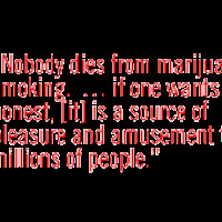 marijuana quotes or sayings photo: nobody dies from marijuana smoking ...