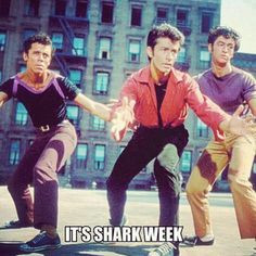 The other Shark Week. Nothing better than performing West Side Story ...