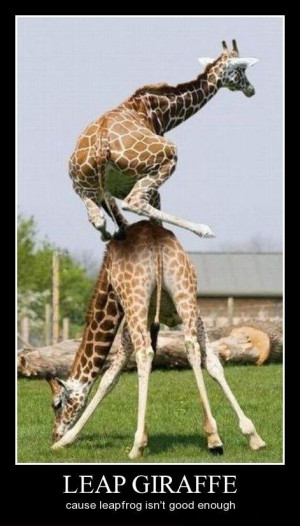 leap giraffe