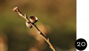 Max Lucado, When God Whispers Your Name