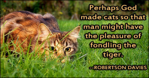 Ernest Hemingway Cats Quote