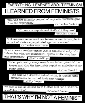 Feminism Quotes from Feminists. . I LEARNED FROM FEMINISTS of rape can ...