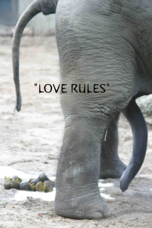 QR quote “Love rules … shit happens!”