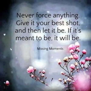 Give it your best shot... Facebook/Prancing Kitten