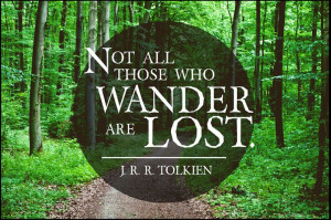 Not All Wonder ~ J R R Tolkien ~ Quote