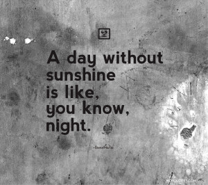 Humor Quotes A day without sunshine is like you know night Steve ...