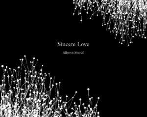 Poems About Love Lost Sincere