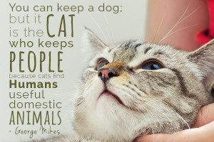 George Mikes Cat Quote