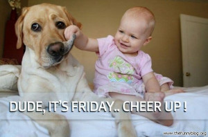 funny-friday-dude-it-is-friday-cheer-up.jpg