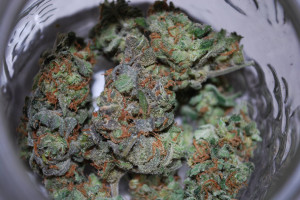 ... on that? Bought in cali at a med club. shit was labeled as Obama Kush