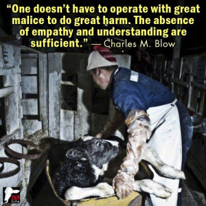 Lack of compassion: Vegans Animal, Animal Cruelty, Animal Abuse ...