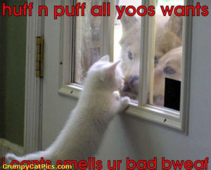 Funny Animal Pictures With Captions - Very Funny The Attack Of Evill ...