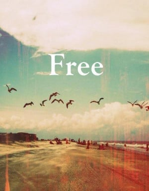 free, love, summer