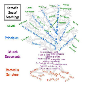 Opinions on Catholic social teaching