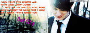 owl city Profile Facebook Covers