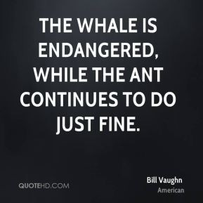 Bill Vaughn - The whale is endangered, while the ant continues to do ...