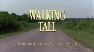 Walking Tall: The Justice Behind the Eighth Commandment