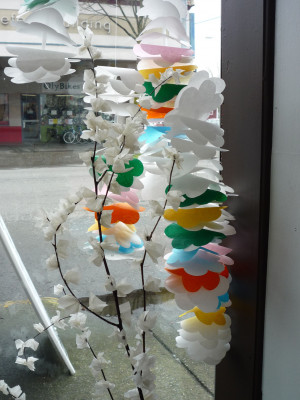 The Supreme Cage Fighting