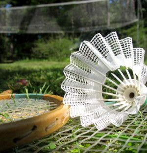 volleyball amp; badminton court