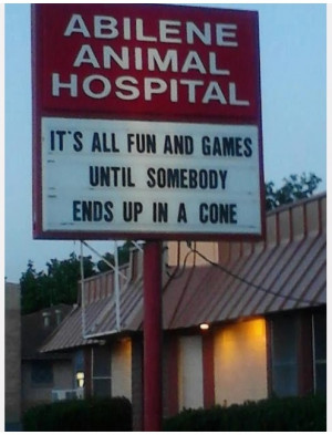 Funny animal hospital sign.