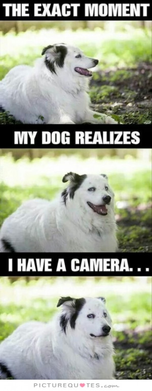 Photography Quotes Dog Quotes Camera Quotes