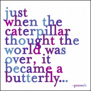 Just When The Caterpillar Thought - Greeting Card - Quotable Cards