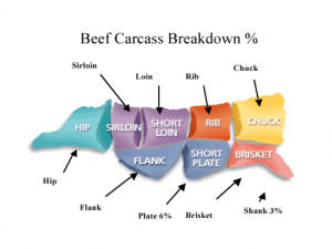 Beef Carcass Breakdown