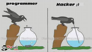 Funny Difference Between Programmer Vs Hacker