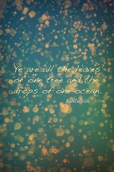 Ye are all the leaves of one tree and the drops of one ocean