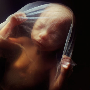 18 weeks: Approximately 14cm. The foetus can now perceive sounds from ...