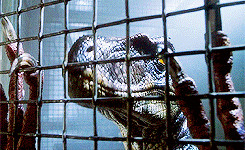 Jurassic Park Meme ∞ Favorite Quote: “Clever Girl” (Robert ...