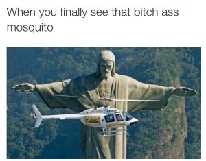 Funny Mosquito