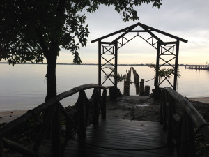 Thomas Edison Quotes The Doctor Of The Future Edison bought the ...