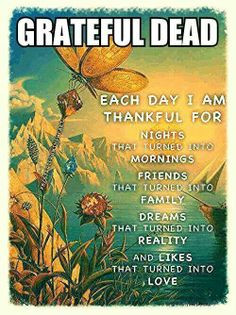 Grateful Dead¸¸.•*¨*•Each day I am thankful for ...Nights that ...