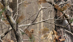 Realtree Camo Backgrounds