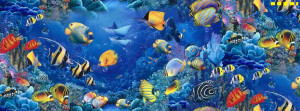 Facebook covers - Sea life and fish aquarium timeline cover photo 014