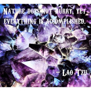 Nature doesn't hurry ~ Lao Tzu