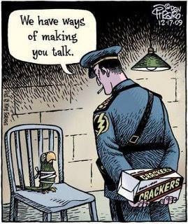 Interrogation TechniquesFunny Sayings, Laugh, Funny Pics, Birds Funny ...