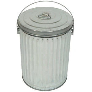 10 Gallon Galvanized Trash Can with Lid