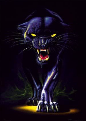 Dragon Image Black Panther