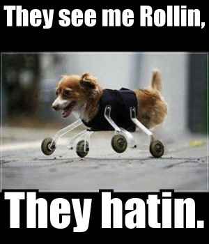 Related Pictures they see me rollin they hatin pic i am bored