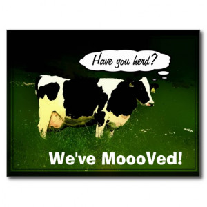 Funny Quotes Contact Dmca...