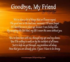 Goodbye, My Friend More