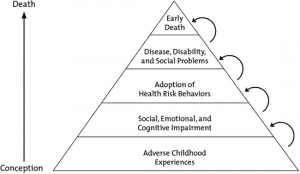 Figure 1.1. Adverse Childhood Experiences Model