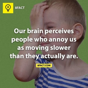 Annoying People Quotes Annoying people